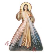 3D Magnet - Divine Mercy