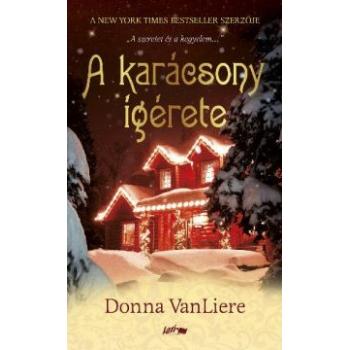 A karácsony ígérete - Donna VanLiere