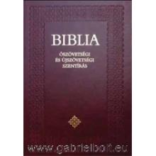 Biblia - Sztenderd  13x19 cm