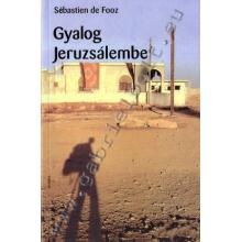 Gyalog Jeruzsálembe - Sébastien de Fooz