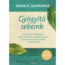 Gyógyító sebeink - David A. Seamands