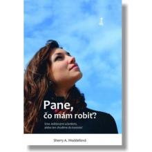 Pane, čo mám robiť? - Sherry A. Weddellová