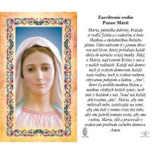 Svätý obrázok - Panna Mária - 6.5x10.5cm