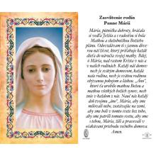 Virgin Mary - prayer cards - 6.5x10.5cm