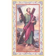 Saint Andrew - prayer cards - 6.5x10.5cm