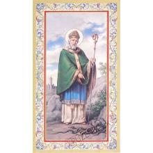 Saint Patrick - prayer cards - 6.5x10.5cm