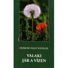 Valaki jár a vízen - Homoki-Nagy Katalin